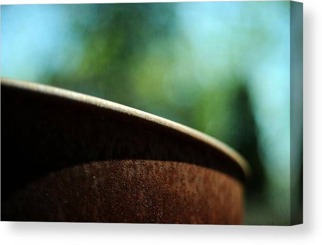 Rustic Canvas Print featuring the photograph Rustic by Rebecca Sherman