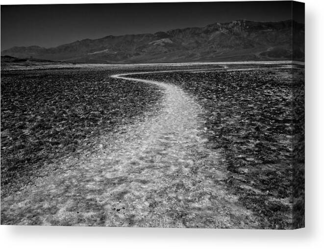 Badwater Canvas Print featuring the photograph Salt Road by Matt Trimble