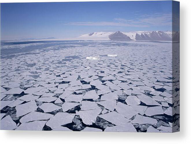 Mp Canvas Print featuring the photograph Sea Ice Break-up, Aerial View by Tui De Roy