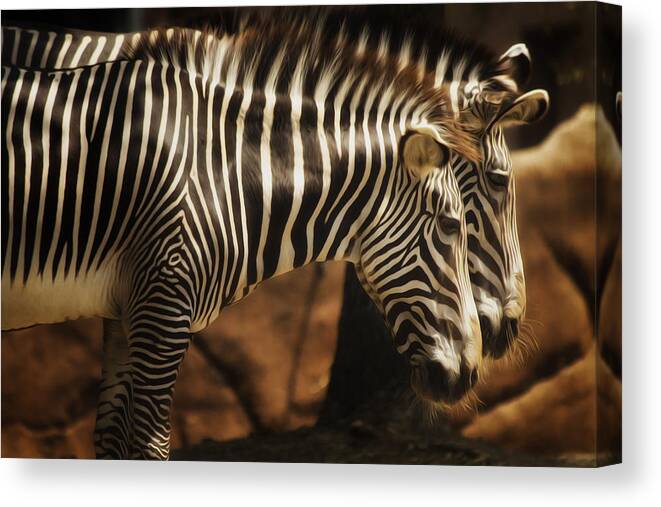 Saint Louis Canvas Print featuring the photograph Seeing Double by Linda Tiepelman