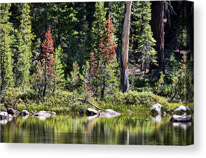 Reflective Lake Canvas Print featuring the photograph Signs of Autumn by Bonnie Bruno