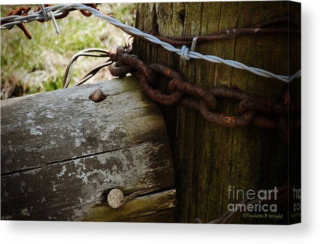 Nature Canvas Print featuring the photograph Signs of Old Age by Paulette B Wright