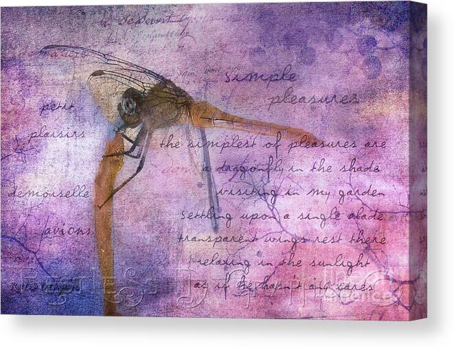  Dragonfly Canvas Print featuring the digital art Simple Pleasures IV by Rhonda Strickland