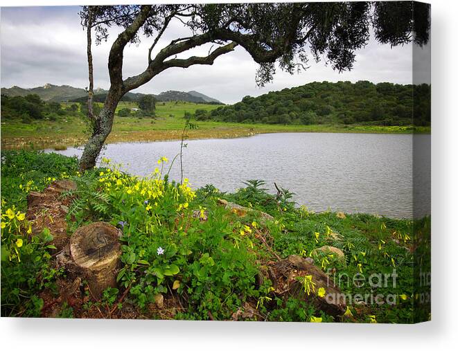 Atmosphere Canvas Print featuring the photograph Sintra Landscape by Carlos Caetano