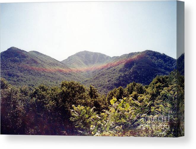 Rainbow Canvas Print featuring the photograph Smiling Rainbows in the Smokies by Susan Stevens Crosby