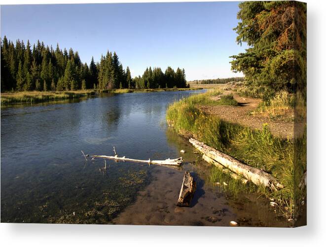 Snake River Schwabacher Landing Road Canvas Print featuring the photograph Snake River at Schwabacher Landing by Paul Cannon