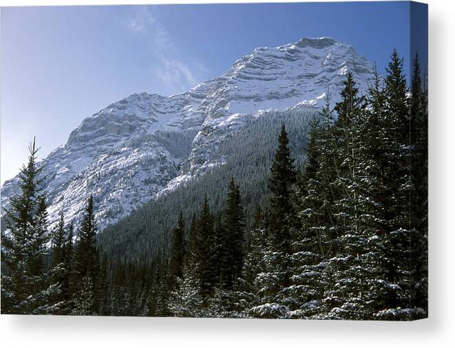 Alberta Canvas Print featuring the photograph Snow Capped Mountain by Roderick Bley