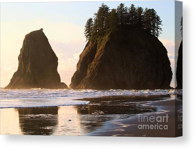 Olympic National Park Second Beach Canvas Print featuring the photograph Soft Beach Sunset by Adam Jewell