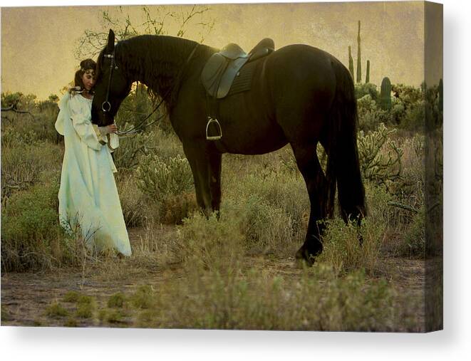 Horse Canvas Print featuring the photograph Solace by Jean Hildebrant