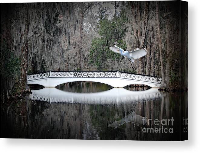 Sourthen Scene Canvas Print featuring the photograph Southern Plantation Flying Egret by Dan Friend