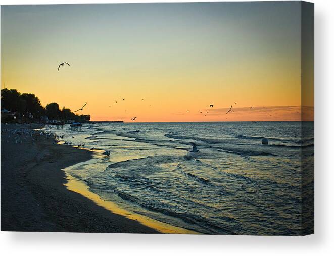 Beach Canvas Print featuring the photograph Spirit's Journey by Sara Frank