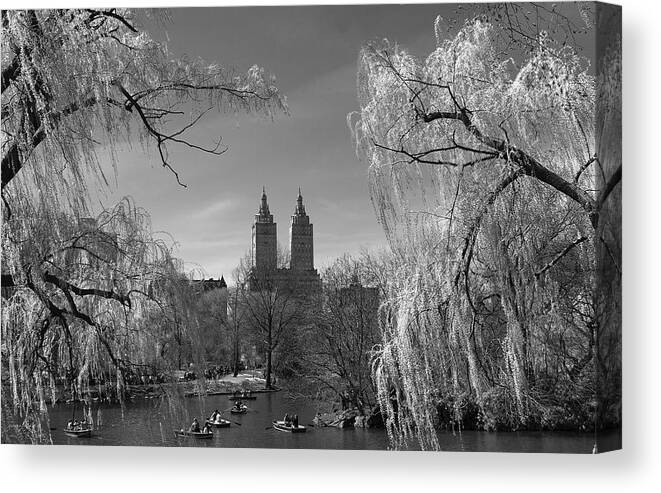 Spring Canvas Print featuring the photograph Spring in Central Park by Yelena Rozov