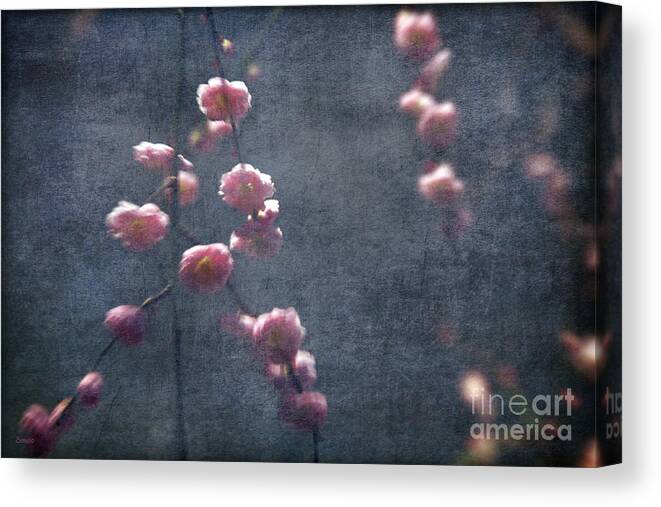 Spring Canvas Print featuring the photograph Spring is Near by Eena Bo