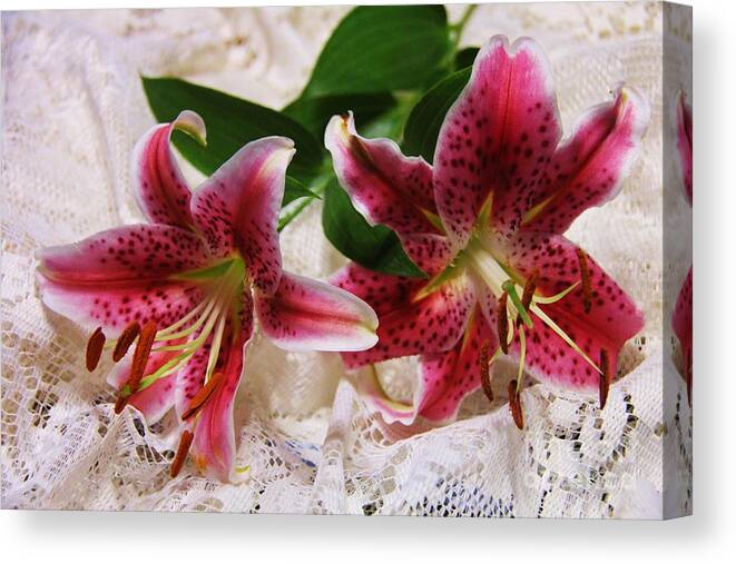 Star Gazer Canvas Print featuring the photograph Star gazer Lily by Yumi Johnson