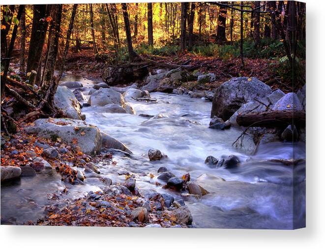 Vermont Canvas Print featuring the photograph Stickney Brook by Tom Singleton