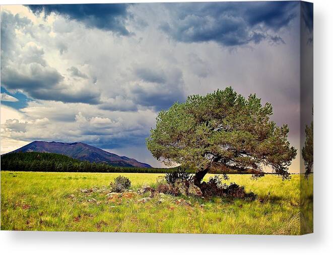 Landscape Canvas Print featuring the photograph Storm Brewing by Joseph Urbaszewski