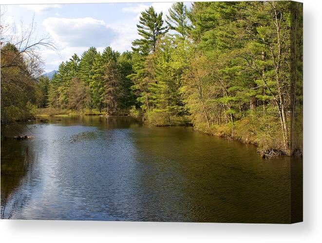 Stream Canvas Print featuring the photograph Stream in Spring by Larry Landolfi