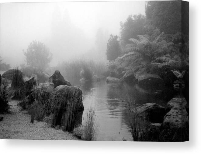 Australia Canvas Print featuring the photograph Stream in the Mist by Jackie Sherwood