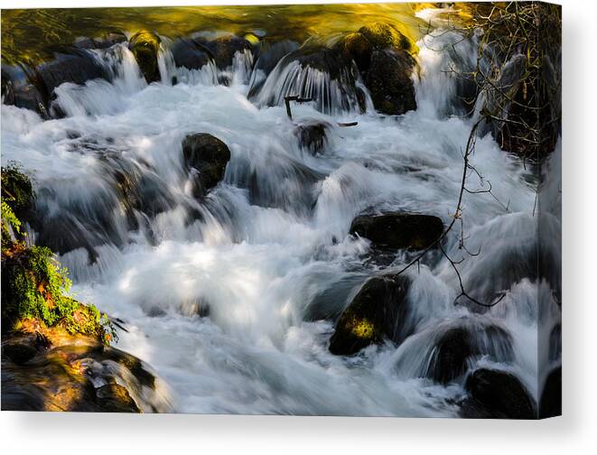 Stream Canvas Print featuring the photograph Stream by Michael Goyberg