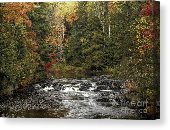 Maine Canvas Print featuring the photograph Sunday Walk by Brenda Giasson