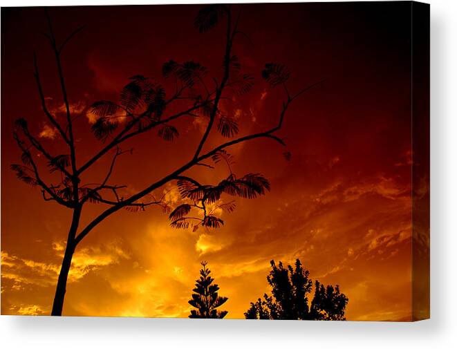 Sun Canvas Print featuring the photograph Sunset Over Florida by David Weeks