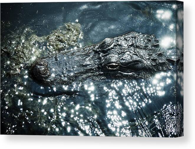 Louisiana Canvas Print featuring the photograph Surface Surface by Ray Devlin