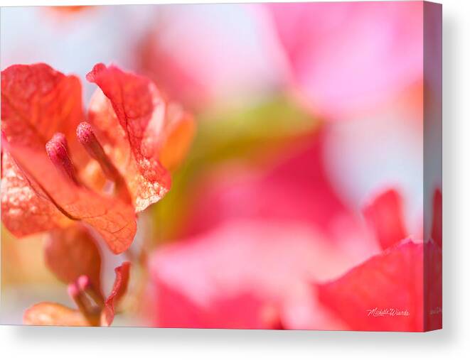 Flower Canvas Print featuring the photograph Tangerine Dream by Michelle Constantine