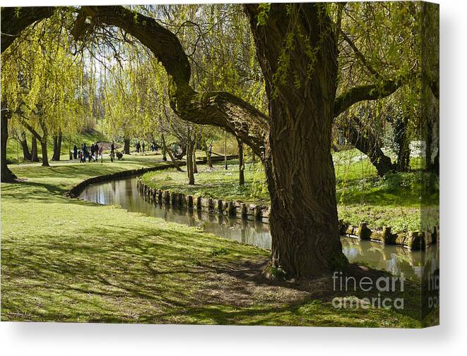 Willow Canvas Print featuring the photograph The Bend - Willow by Donald Davis