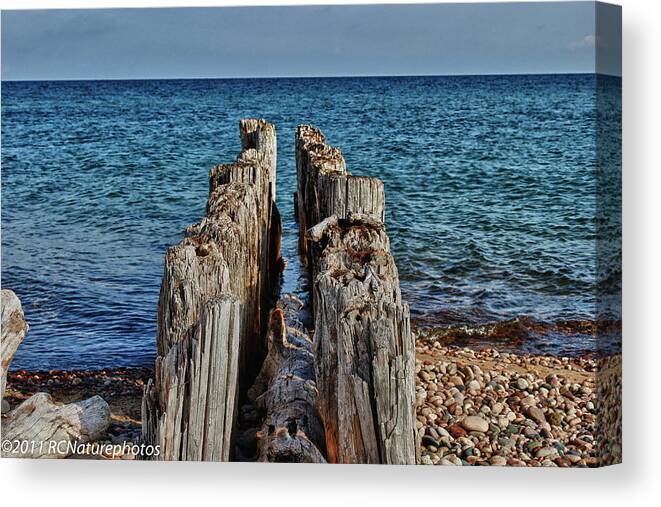 Lake Superior Canvas Print featuring the photograph The Bones of Superior by Rachel Cohen