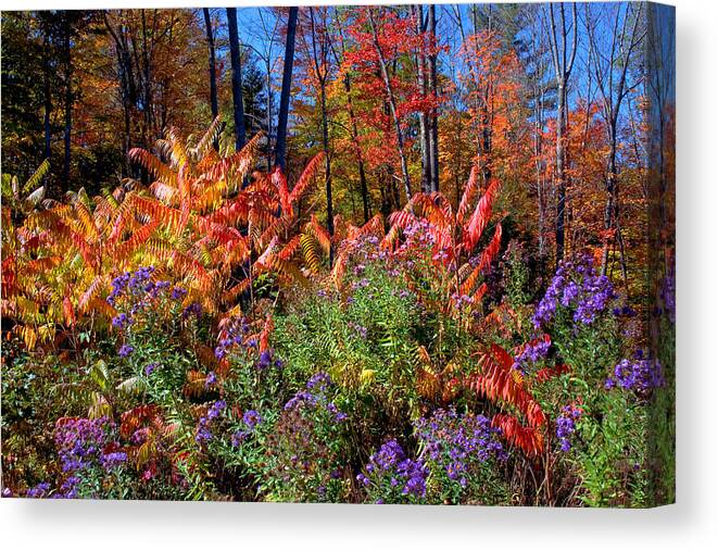 Flowers Canvas Print featuring the photograph The Full Gamut by Larry Landolfi