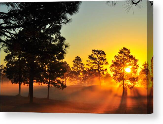 Golden Canvas Print featuring the photograph The Golden Hour by Maria Schnell