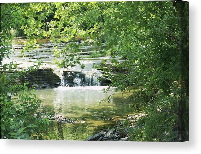 Landscape Canvas Print featuring the photograph The Harpeth Brentwood Tennessee by Paul Shefferly