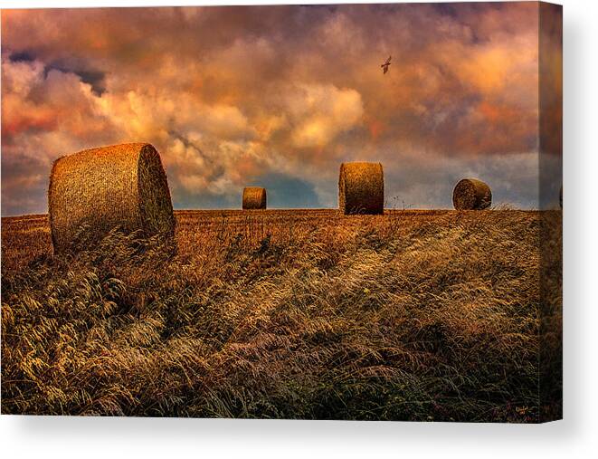 Hay Canvas Print featuring the photograph The Hayfield by Chris Lord