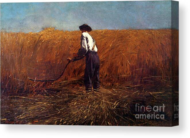 The Veteran In A New Field By Winslow Homer (1836-1910) :scythe; Braces; Faux; Faucheur; Mower; Champs; Farm Canvas Print featuring the painting The Veteran in a New Field by Winslow Homer by Winslow Homer