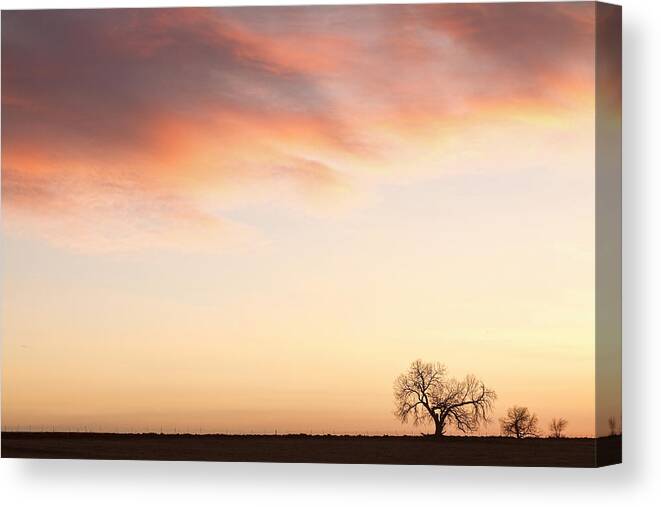 'boulder County' Canvas Print featuring the photograph Three Trees Sunrise Sky Landscape by James BO Insogna