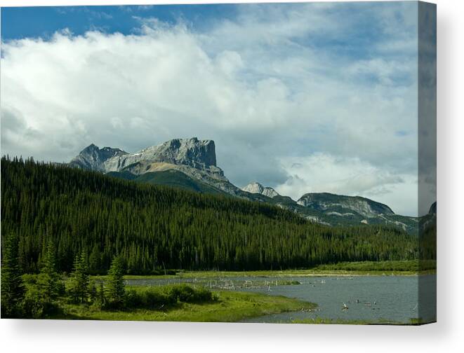 Mountain Canvas Print featuring the photograph Through The Pass by Travis Crockart