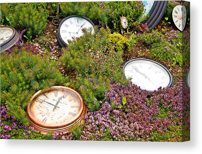Thyme Canvas Print featuring the photograph Thyme and Time by Chris Thaxter