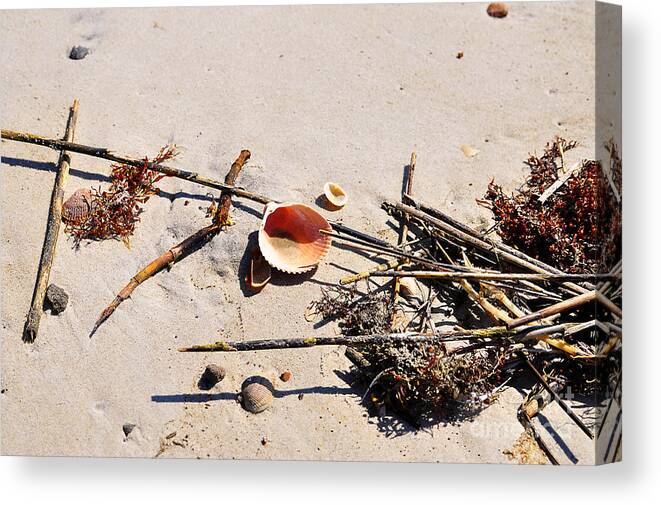Beach Shells Canvas Print featuring the photograph Tidal Treasures by Al Powell Photography USA