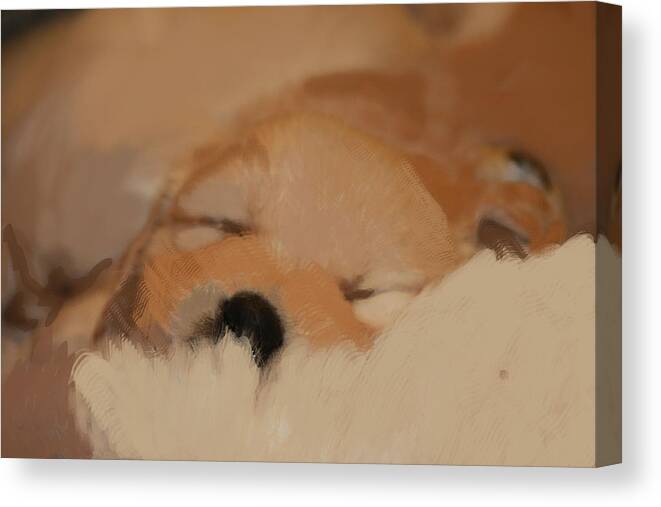4 Week Old Canvas Print featuring the photograph Tired Puppy by Marta Alfred