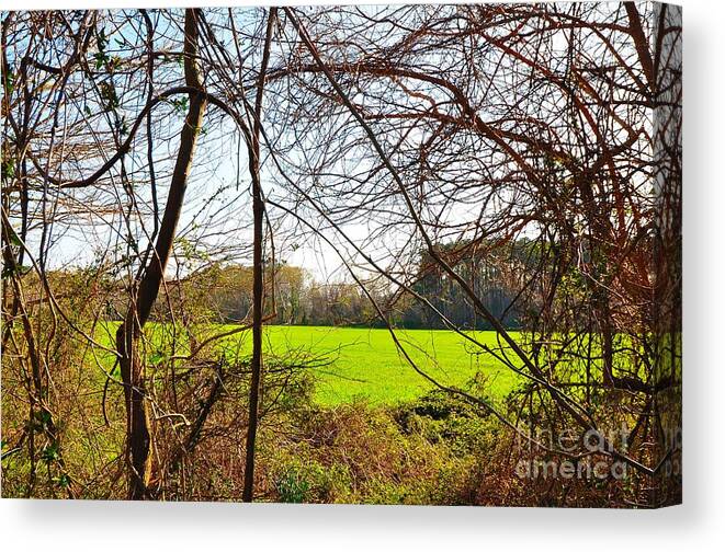  Canvas Print featuring the photograph To The Field by Eric Grissom