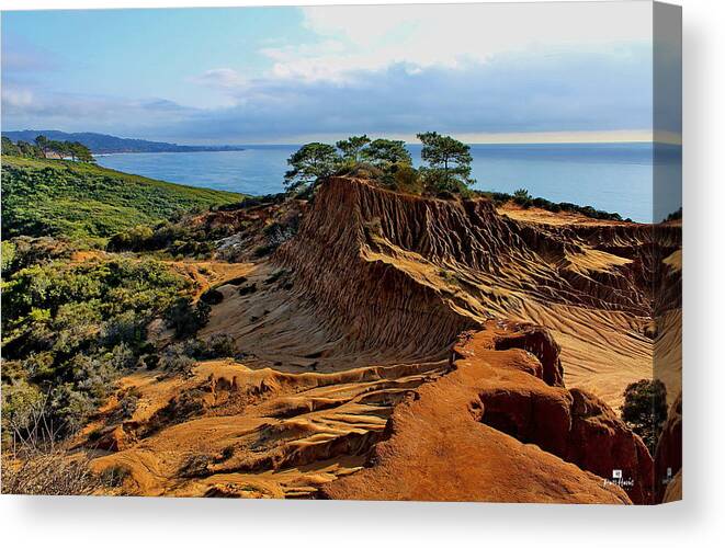 Torrey Pine State Reserve Canvas Print featuring the photograph Torrey Vista by Russ Harris
