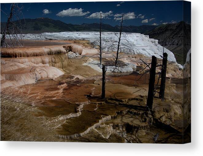Yellowstone National Park Canvas Print featuring the photograph Travertine Terraces by Ralf Kaiser