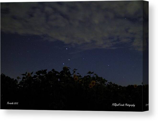  Canvas Print featuring the photograph Trifecta at Crescent Farm by PJQandFriends Photography