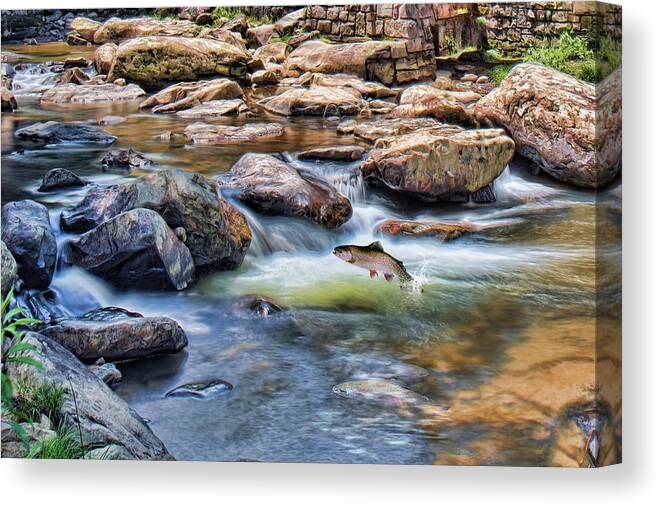 Trout Canvas Print featuring the digital art Trout Stream by Mary Almond