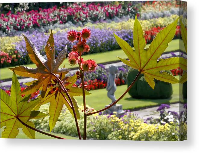 Kg Canvas Print featuring the photograph Tudor Garden by KG Thienemann