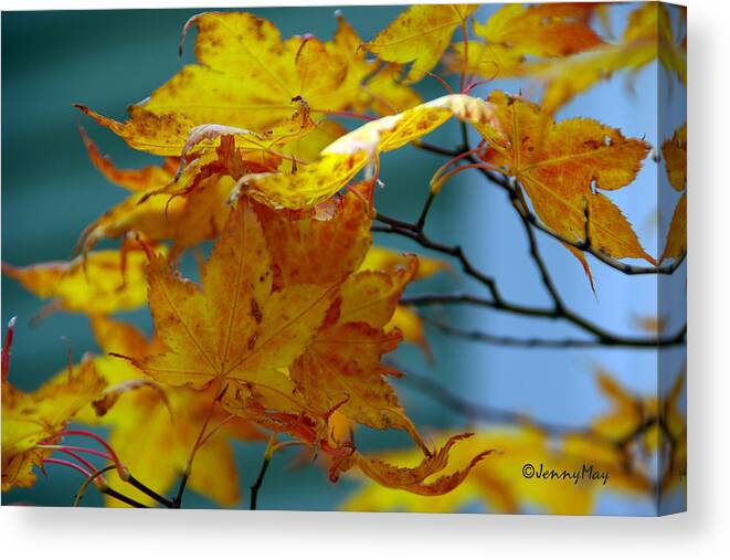 Fall Canvas Print featuring the photograph Turning by Jenny May