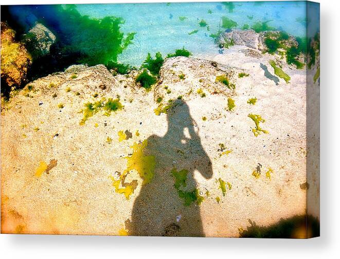 Beach Canvas Print featuring the photograph Under the Sea by HweeYen Ong