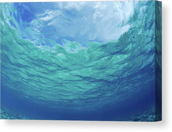 Afternoon Canvas Print featuring the photograph Upward to Surface by Don King - Printscapes