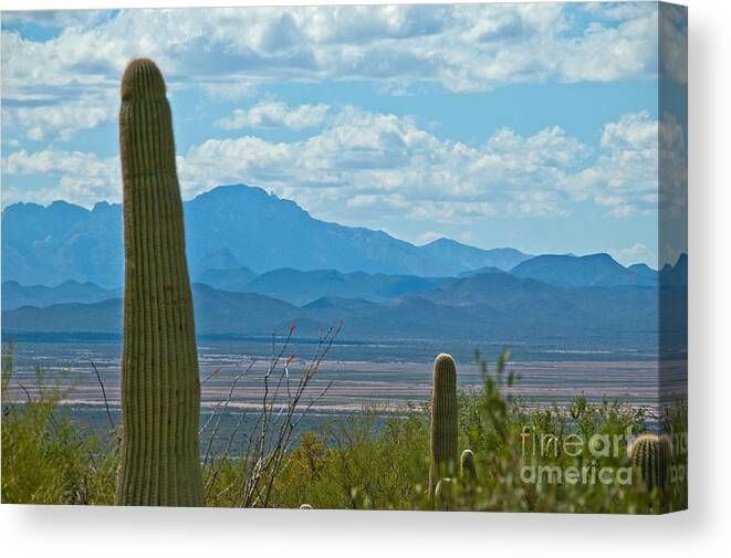Desert Canvas Print featuring the photograph View Across the Desert by Bob and Nancy Kendrick