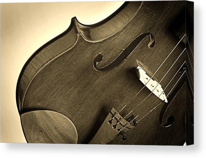 Violin Canvas Print featuring the photograph Violin Isolated by M K Miller